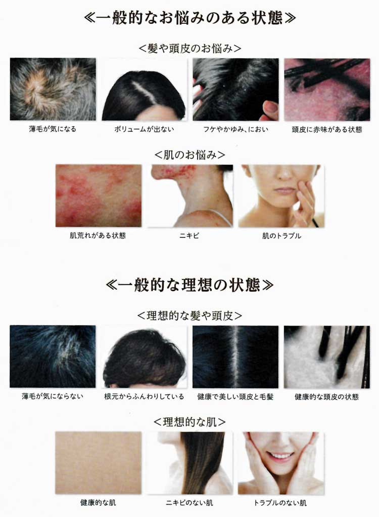 ランドケアエッセンスソープ アトリエヘアピークス