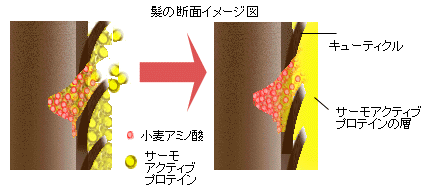 リフトアップウォーター作用図